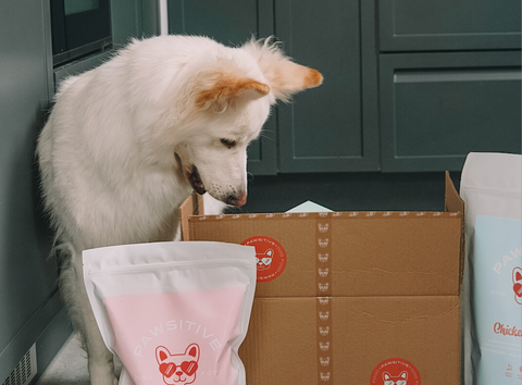 Salmon 40/60/0 - Cold-pressed Complete Dog Food