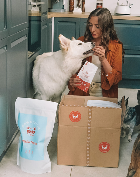 Chicken 40/60/0 - Cold-pressed Complete Dog Food